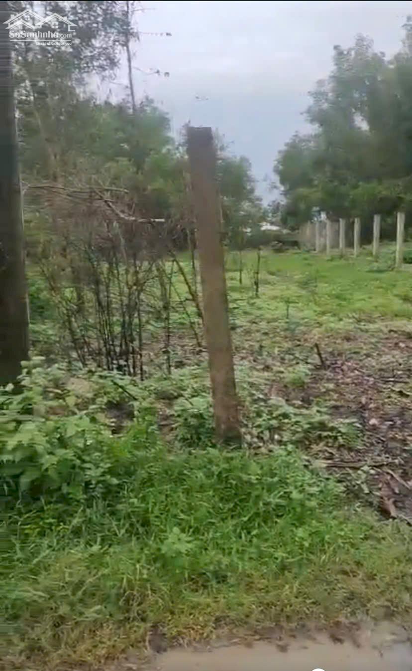 Chính Chủ Bán 1167,3m2 Đất Tại Xã Nghĩa Thuận, Huyện Tư Nghĩa, Tỉnh Quảng Ngãi. 3