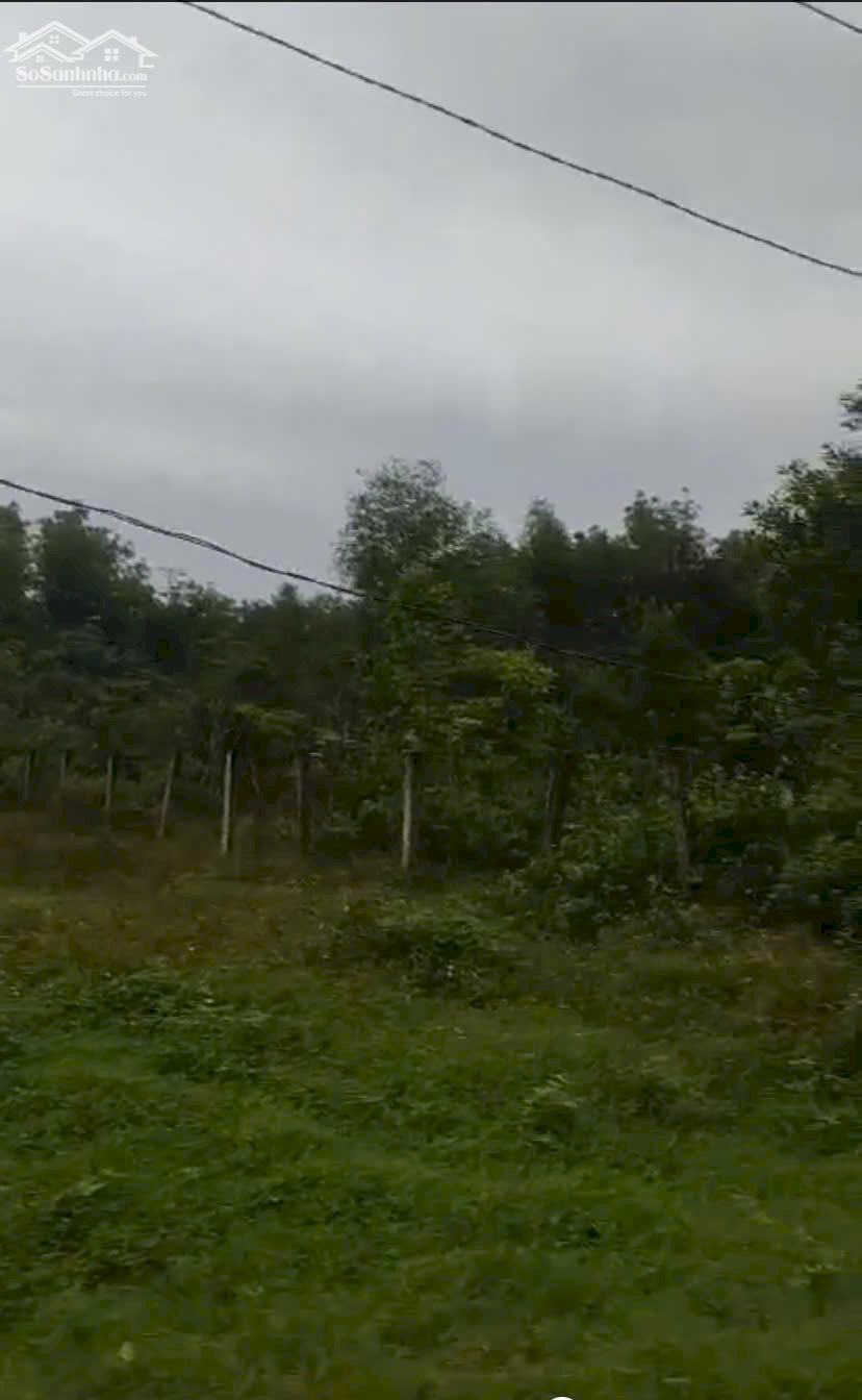 Chính Chủ Bán 1167,3m2 Đất Tại Xã Nghĩa Thuận, Huyện Tư Nghĩa, Tỉnh Quảng Ngãi. 4