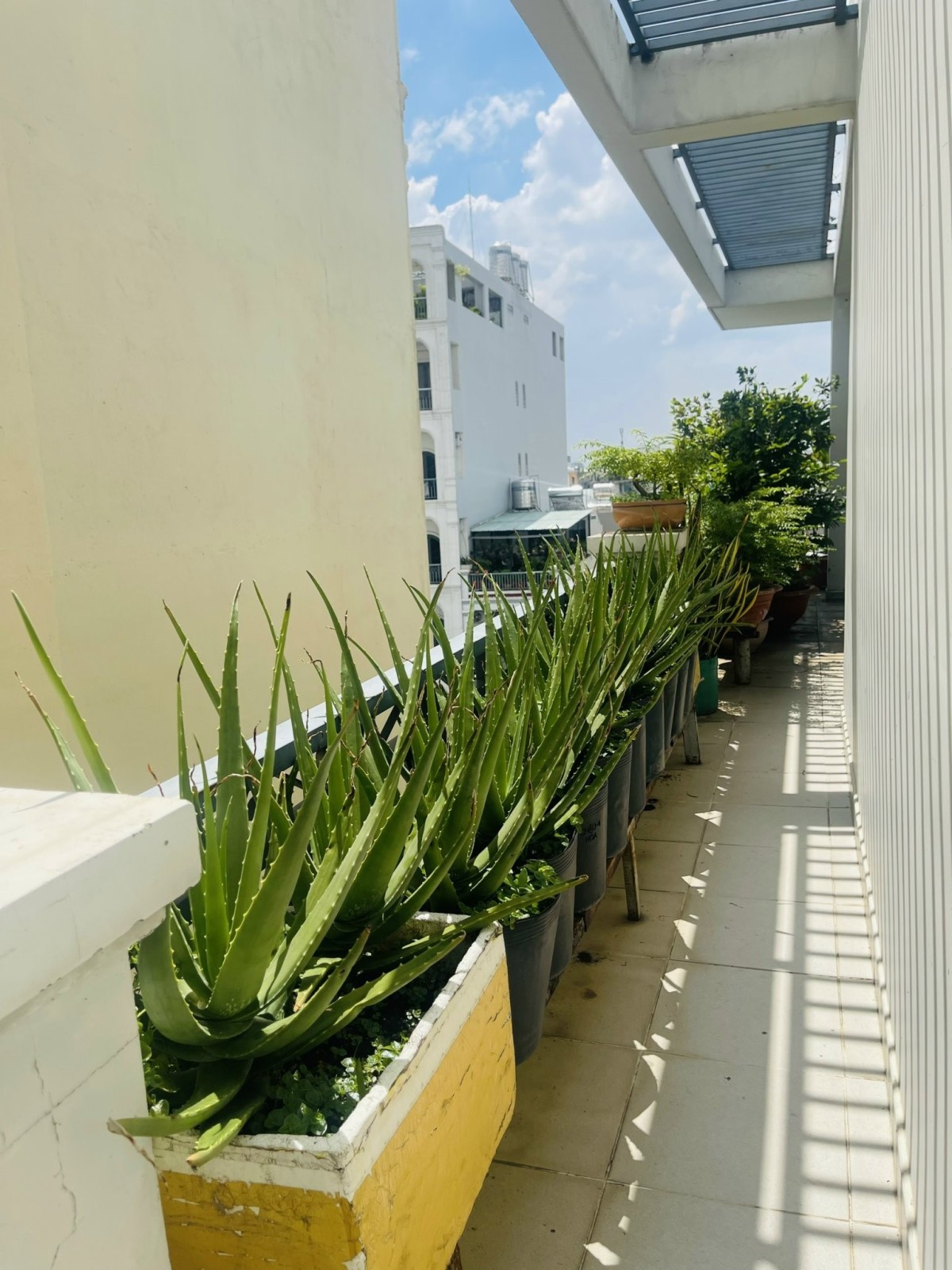 MẶT TIỀN 5 TẦNG BTCT NGUYỄN XÍ - GIẢM 7.6 TỶ, GIÁ MỚI 59 TỶ - VỊ TRÍ KINH DOANH ĐỈNH 6