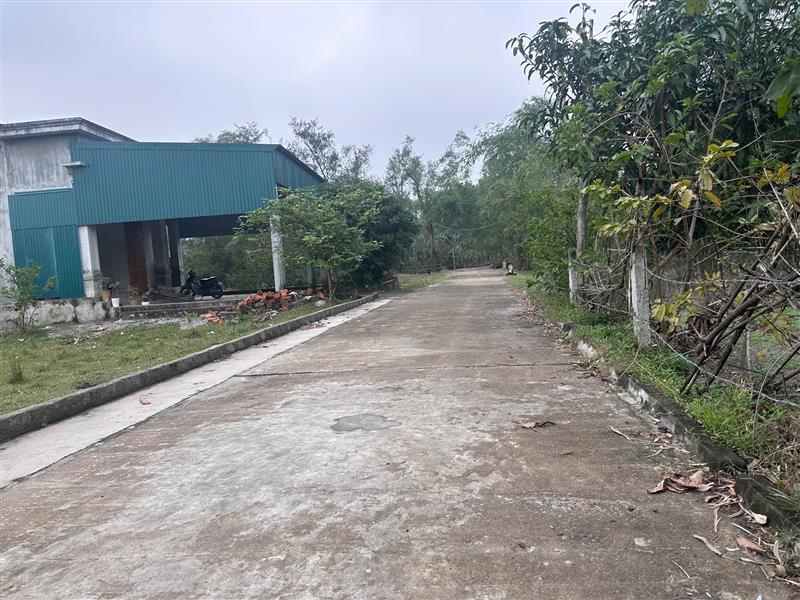 Bán đất Tú Loan 3, Quảng Hưng, Quảng Trạch, Quảng Bình. 2