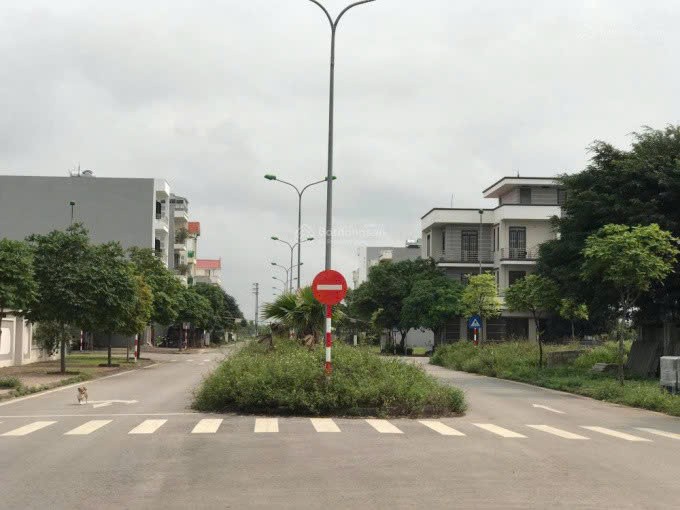 Cần bán Đất Phường Nhị Châu, Hải Dương, Diện tích 250m², Giá 190 Triệu/m²