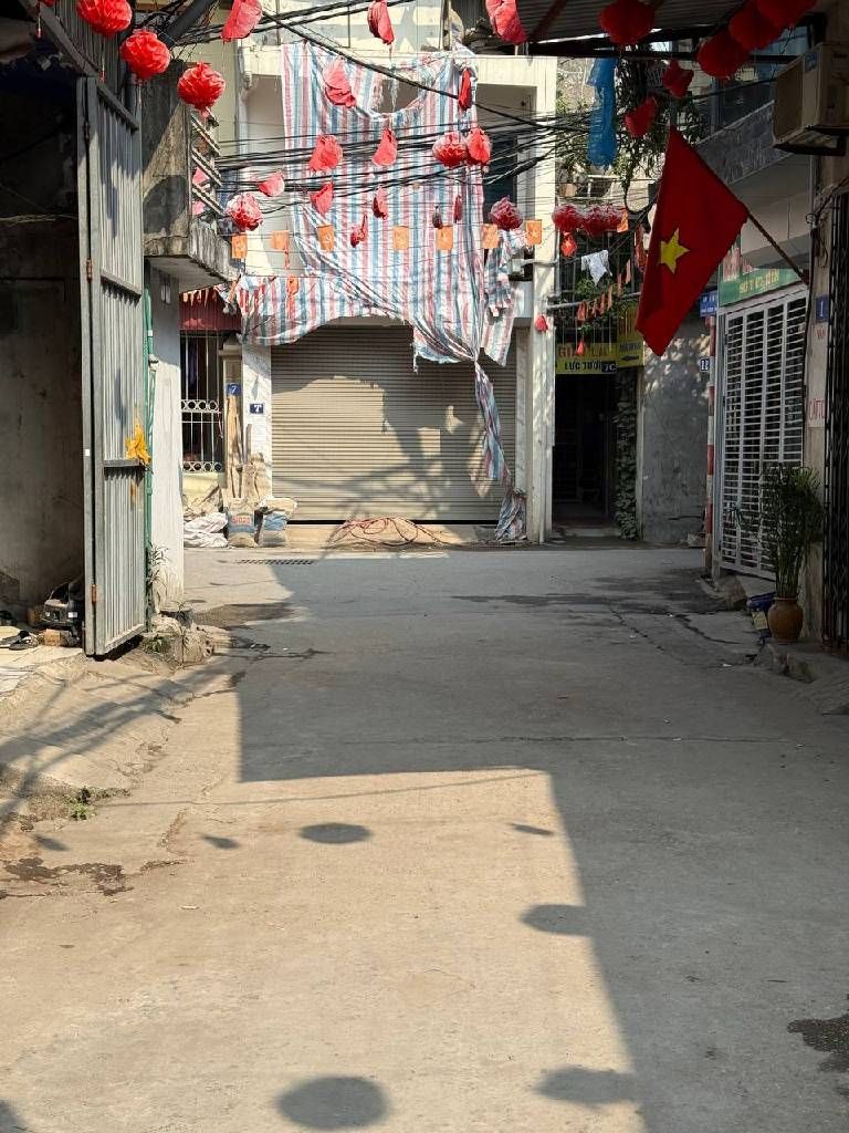 Cần bán Đất đường Thúy Lĩnh, Phường Lĩnh Nam, Diện tích 51m², Giá 7.6 Tỷ