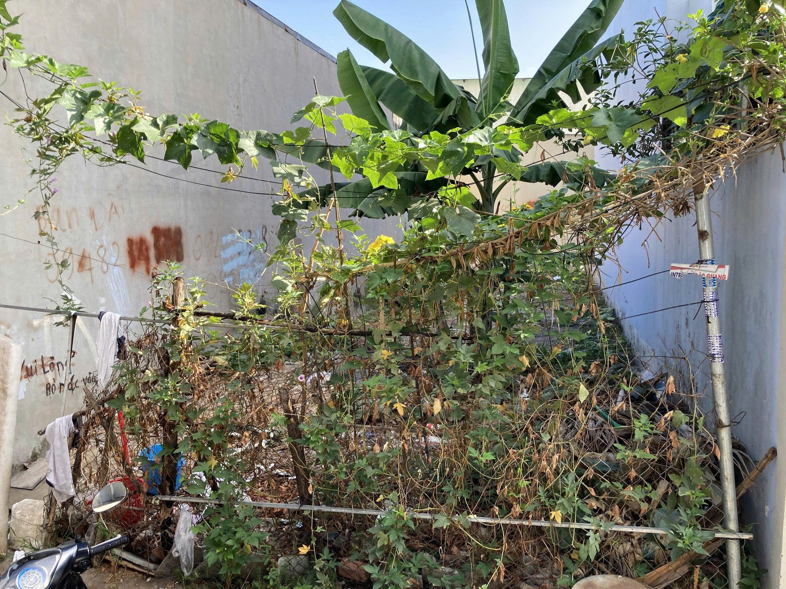 Lô đất hxh đường làng tăng phú DT 100m giá tốt 3