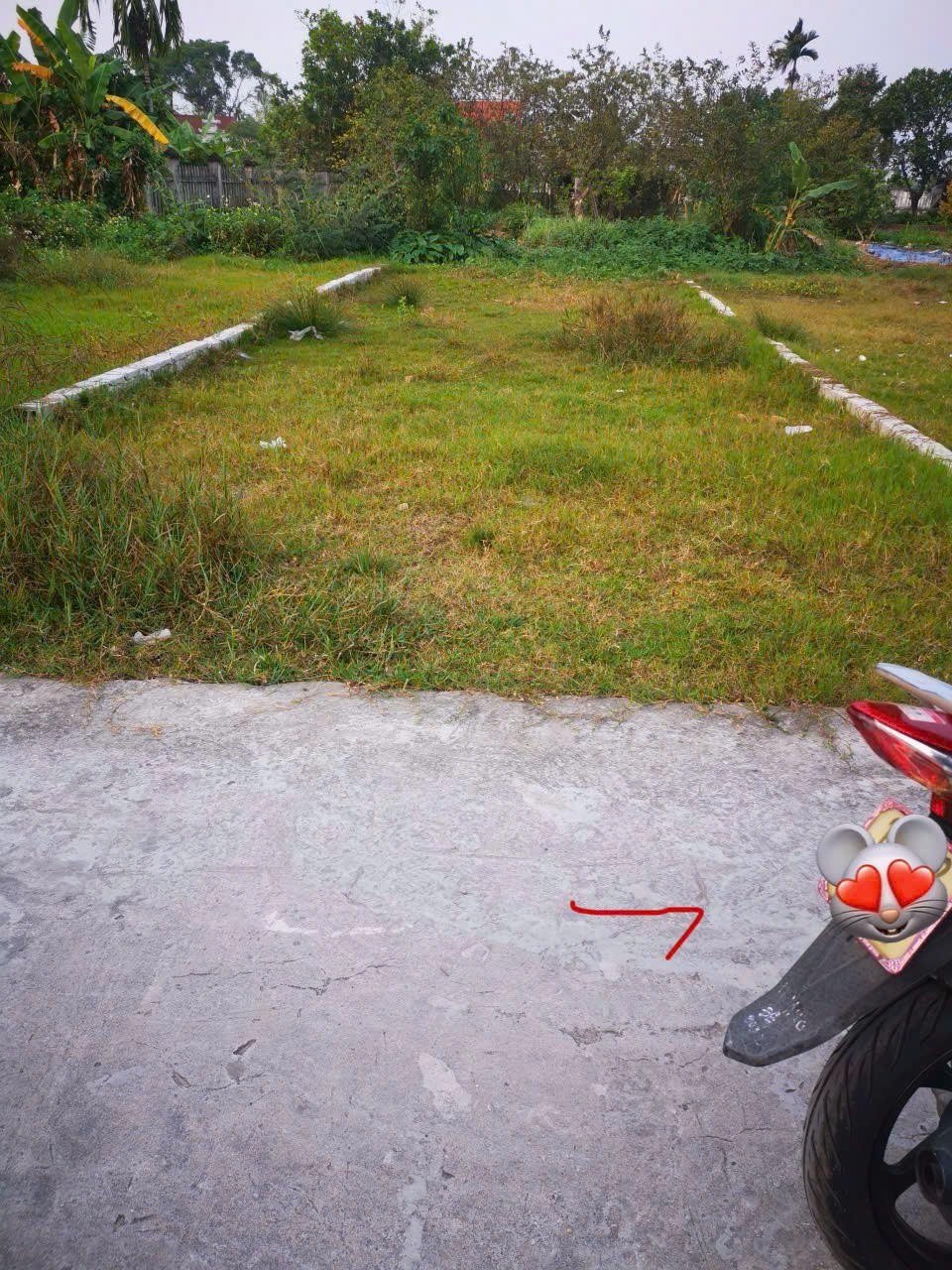 BÁN ĐẤT QUYẾT TIẾN 2 – HỢP ĐỨC – ĐỒ SƠN  95M2  GIÁ 9XX TRIỆU – LÔ HIẾM GẦN CHỢ  ZALO 0567 222 555 4