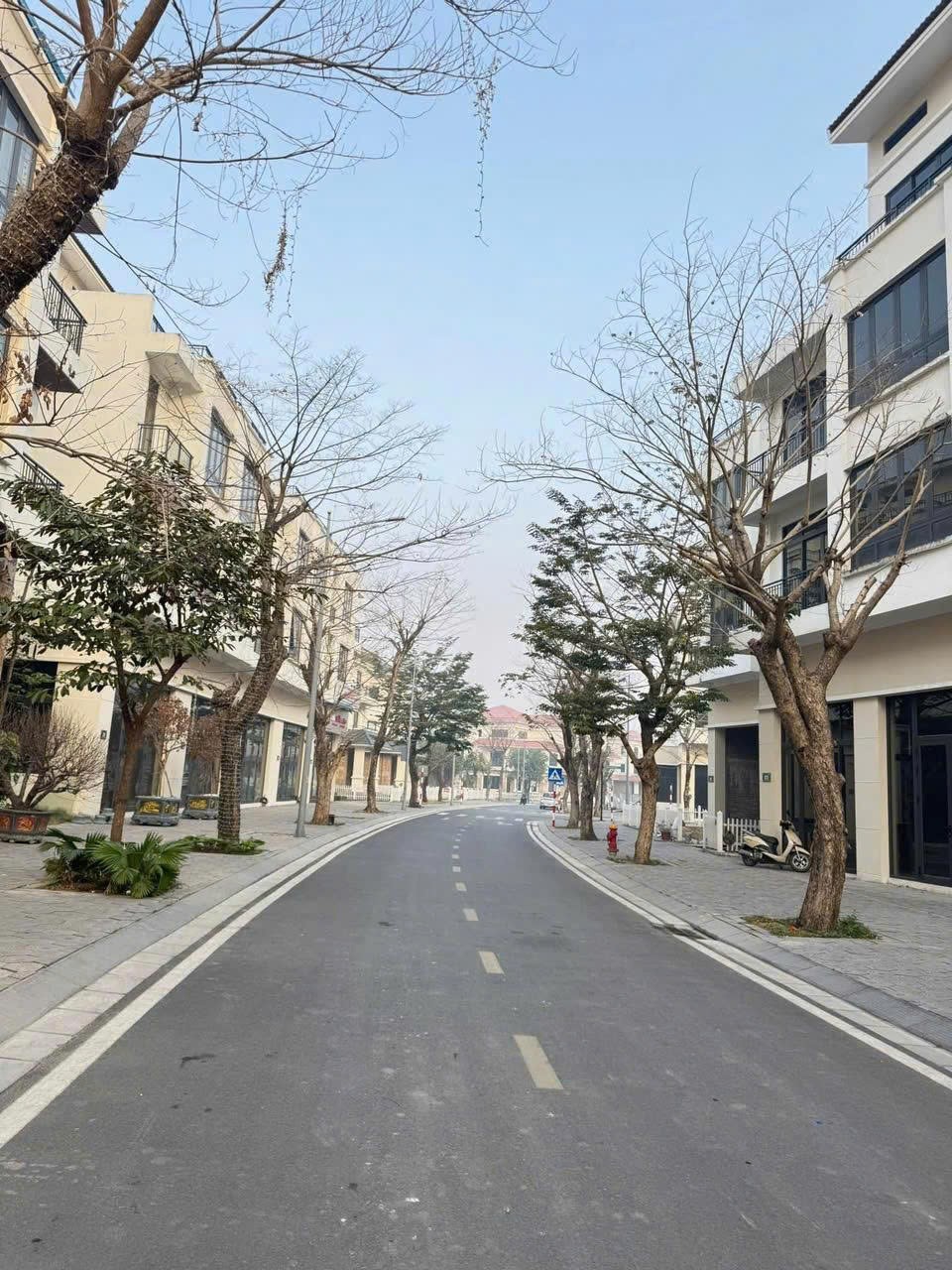 Cần bán Đất Phường Hải Tân, Hải Dương, Diện tích 200m², Giá 190 Triệu/m² 3