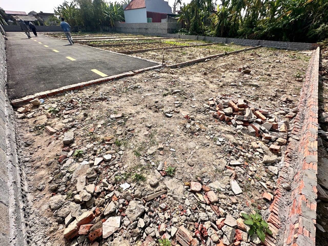 ĐẤT CỐC LIỄN – MINH TÂN – KIẾN THỤY  80M²  NGÕ 4M NHỰA  GIÁ 8XX TRIỆU – HÀNG ĐÓN SÓNG KHU DÂN CƯ 4