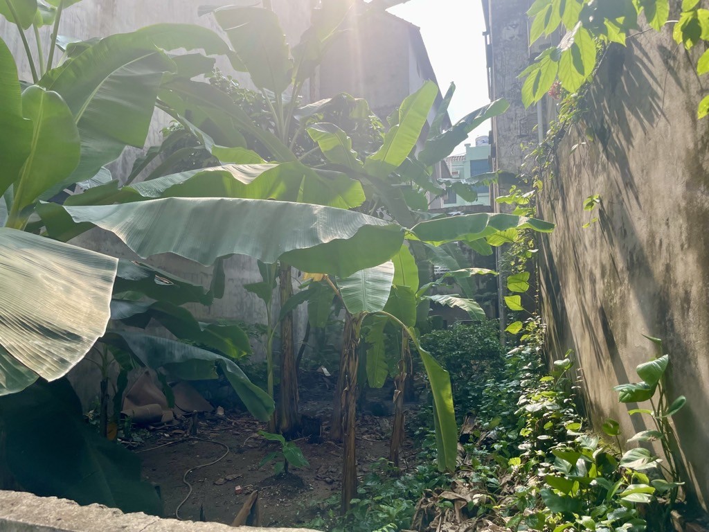 Bán đất ngõ 193 Bồ Đề 89m x 6m6 1 nhà ra oto thông, giá đầu tư. 2