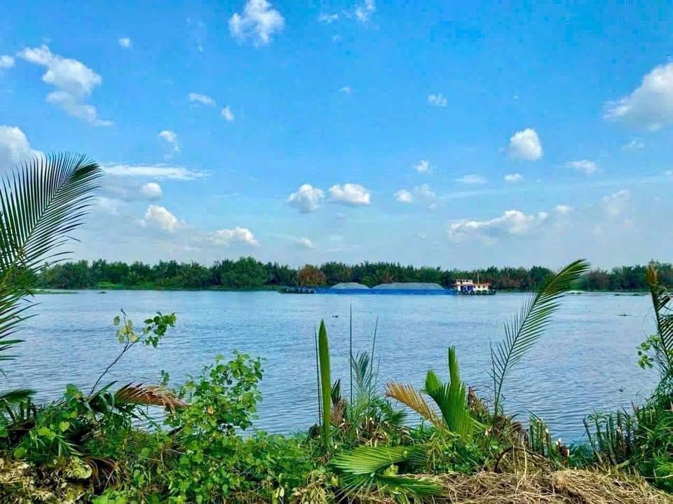 Đất thổ cư 609m2 mt View sông Vàm Cỏ thích hợp làm nhà vườn giá rẻ 700tr hết sổ