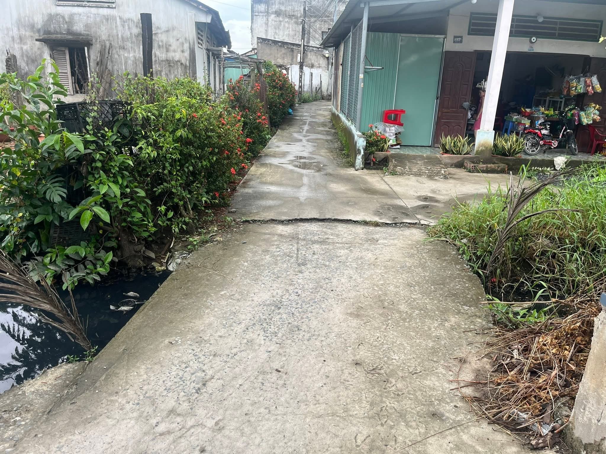 Bán nhà cấp 4 mới xây ở xã Phước Lợi , Bến Lức tdt 224m2 ( có 100m2 thổ) 2pn, 1wc giá 2,5 tỷ 4