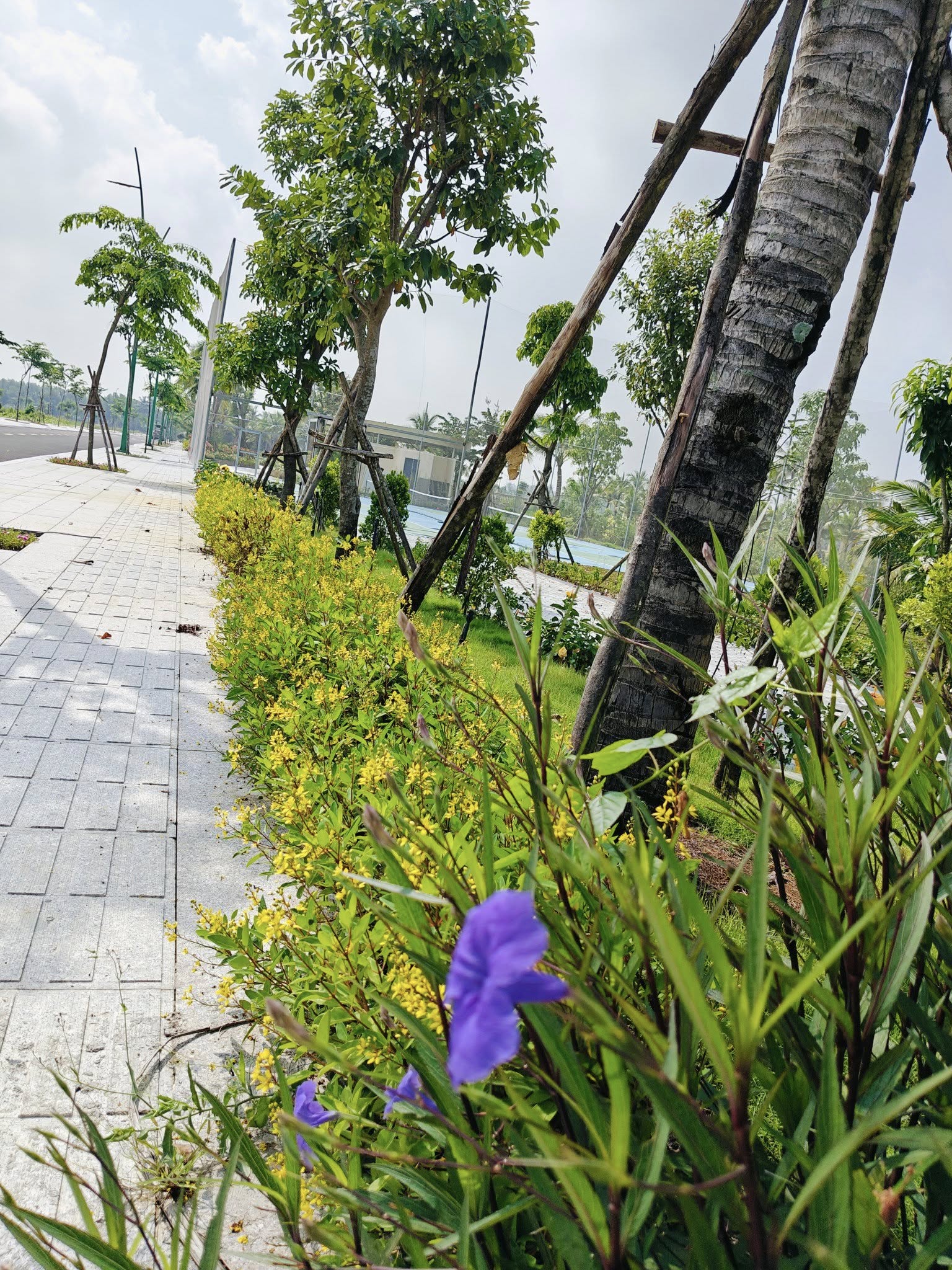 Cần bán Đất Agora City mặt tiền  đường ĐT 818, Diện tích 108m² chỉ từ 600 triệu có ngay sổ hồng 6