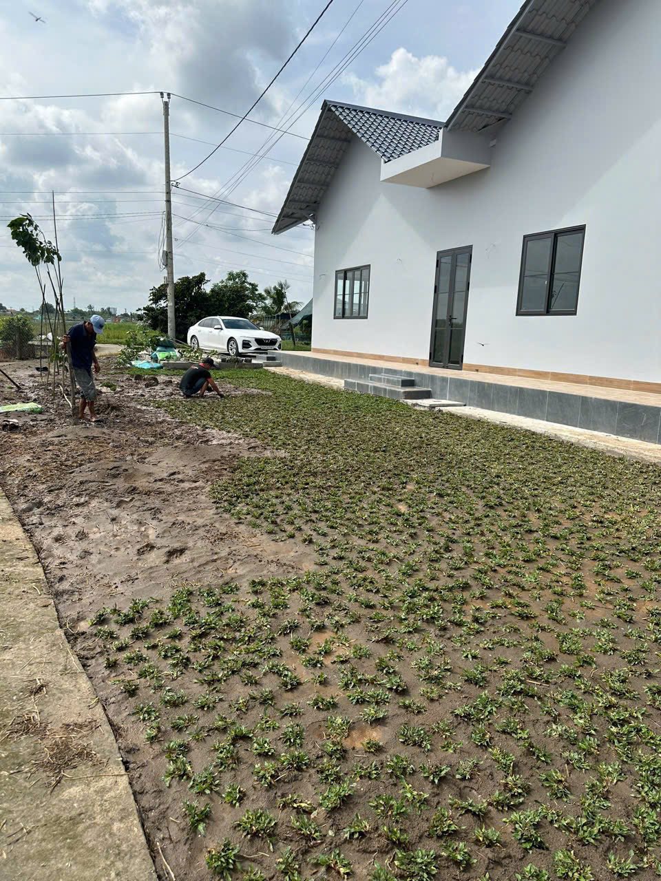 Bán nhà vườn xã Lạc Tấn , huyện Tân Trụ , Long An tdt 912m2 ( có 276m2 thổ) 3pn , 2wc giá 3 tỷ 8