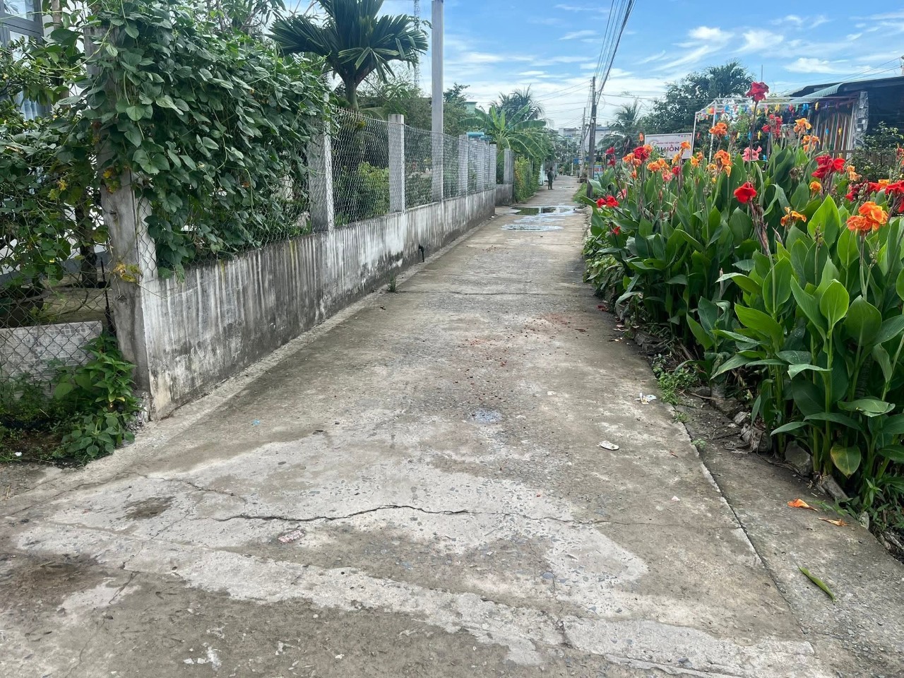 Bán nhà cấp 4 mới xây ở xã Phước Lợi , Bến Lức tdt 224m2 ( có 100m2 thổ) 2pn, 1wc giá 2,5 tỷ 6