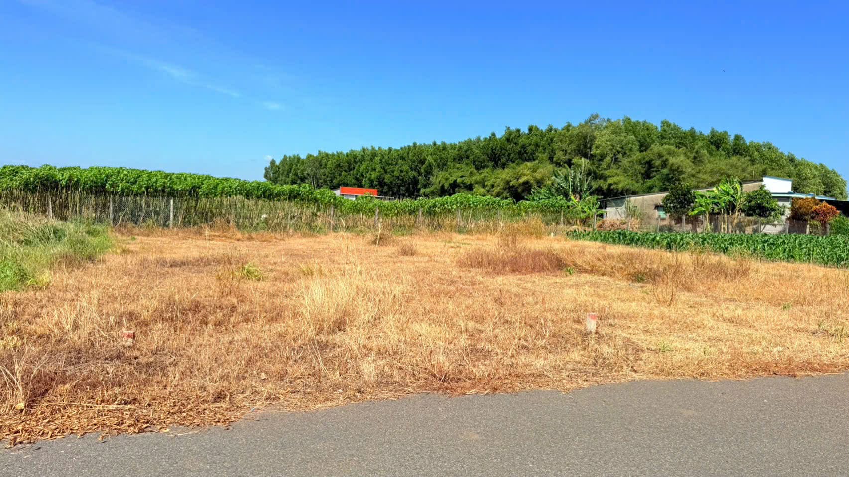 Cần bán Đất đường Tỉnh lộ 44, Thị trấn Đất Đỏ, Diện tích 170m², Giá 980 Triệu 4