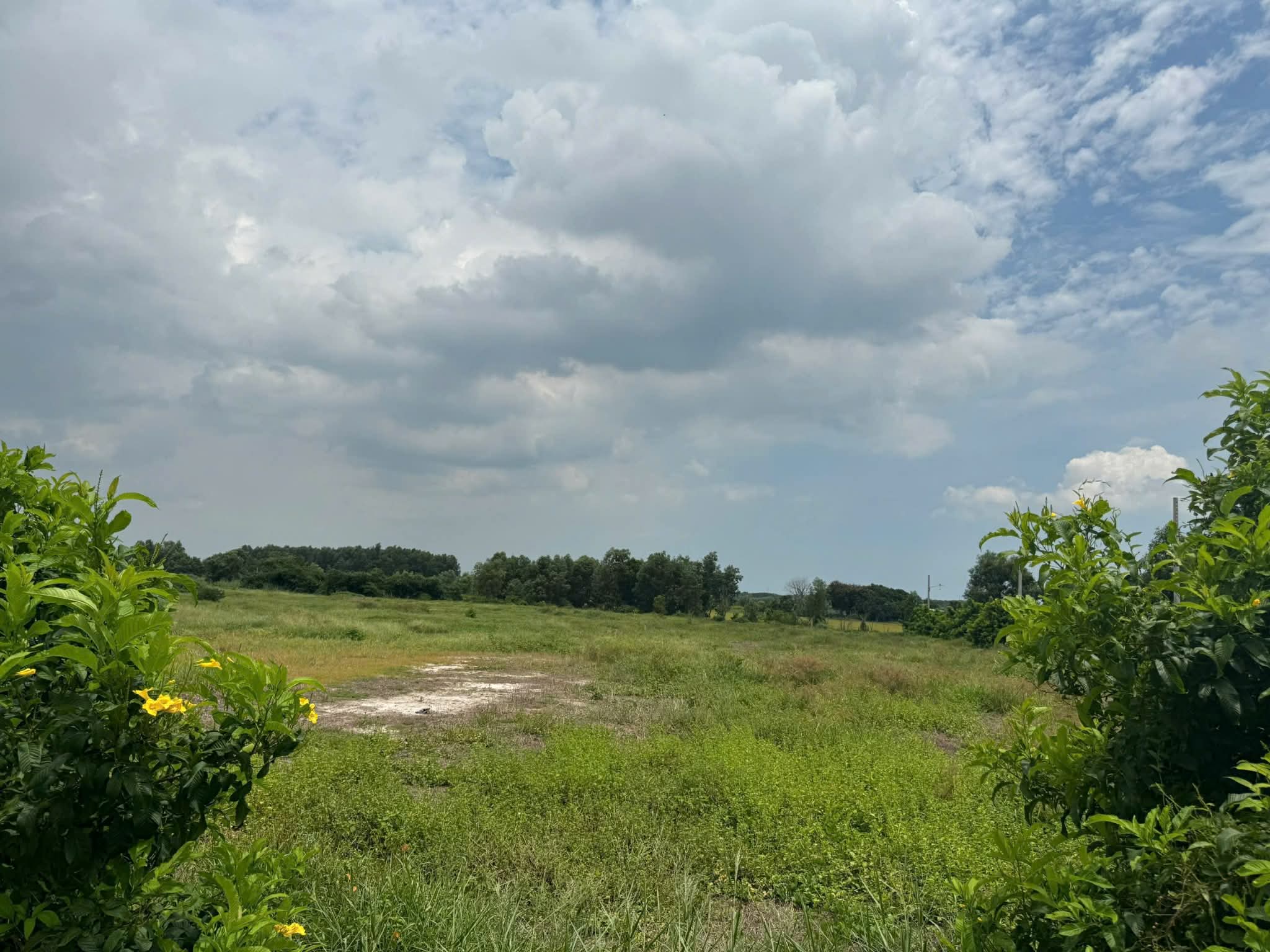 Cần bán Đất đường Võ Văn Kiệt, Xã Phước Hội, Diện tích 137m², Giá 1.2 Tỷ 3