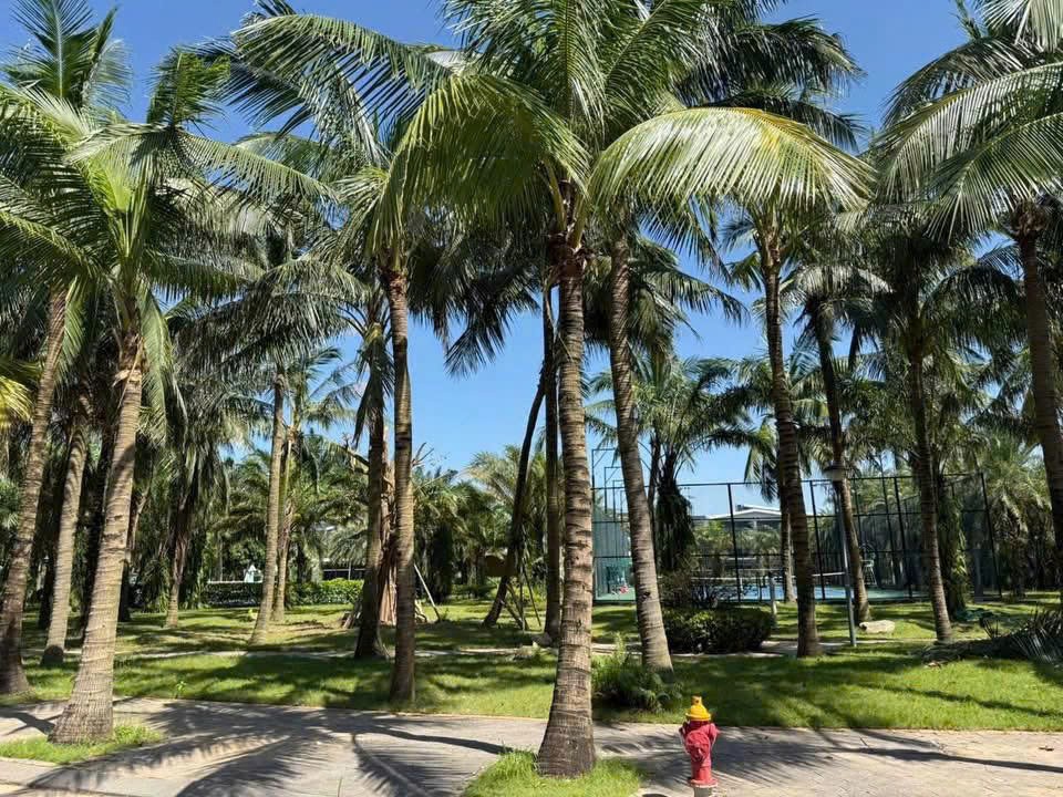 Cần bán Đất Phường Hải Tân, Hải Dương, Diện tích 150m², Giá 200 Triệu/m²