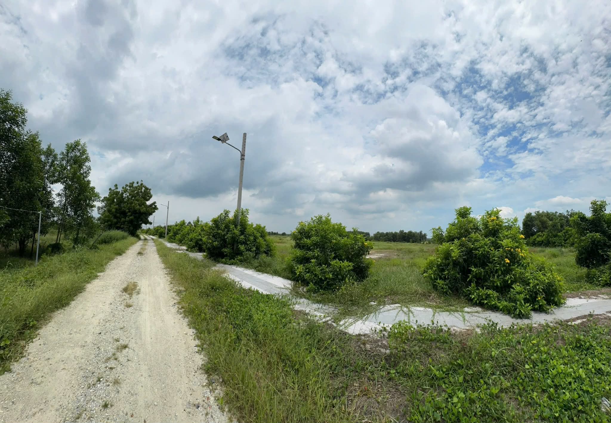 Cần bán Đất đường Võ Văn Kiệt, Xã Phước Hội, Diện tích 137m², Giá 1.2 Tỷ 4