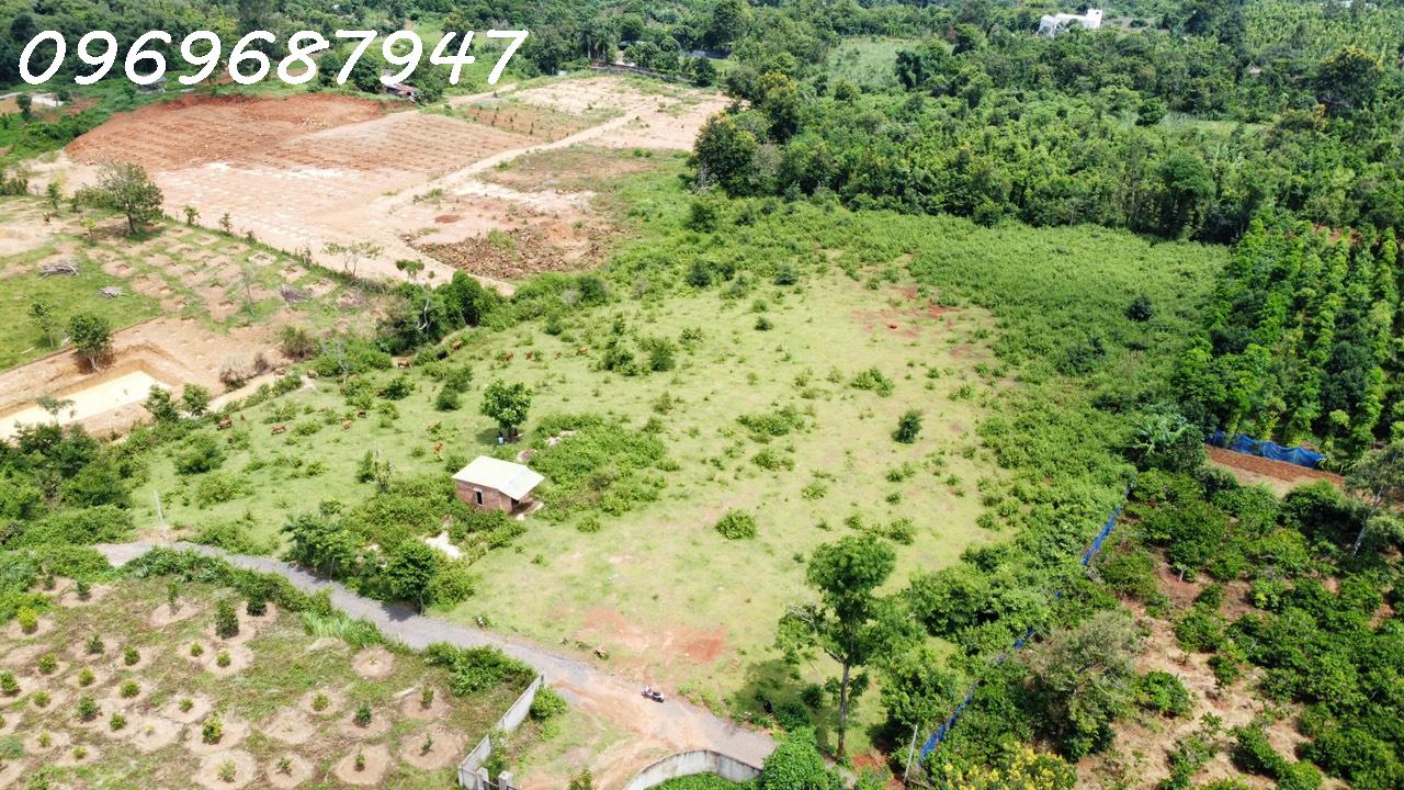 LÔ ĐẤT ĐỎ 1.3 HECTA - BUÔN MA THUỘT - 750TR/ SÀO