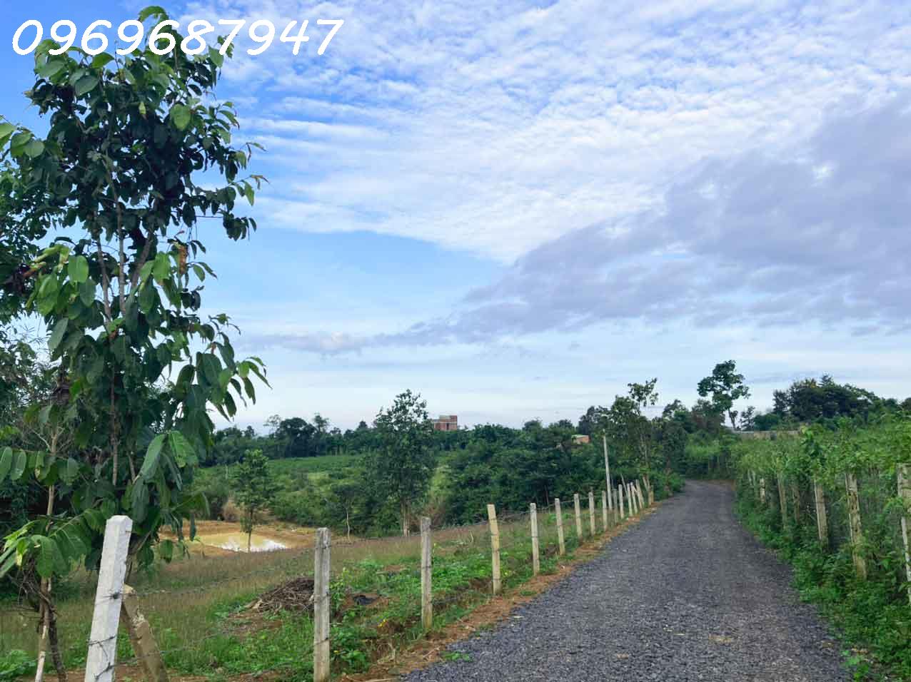 LÔ ĐẤT ĐỎ 1.3 HECTA - BUÔN MA THUỘT - 750TR/ SÀO 2