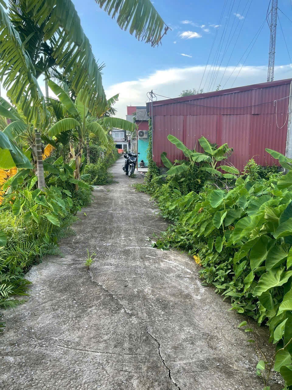 Giá hiếm 6xx triệu – Lô 62.3m² tuyến 2 Bình Minh, Nam Đồ Sơn, đầu tư sinh lời nhanh – ZALO 0567