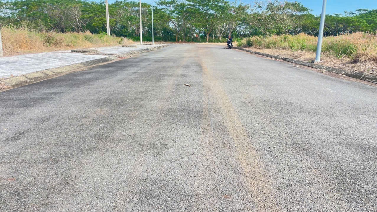 Cần bán Đất đường Quốc Lộ 55, Xã Phước Long Thọ, Diện tích 120m², Giá Thương lượng 5