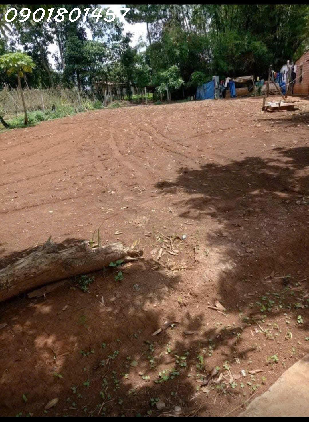 Bán đất 250m2 (100m2đất ở) 580tr ở thành phố PleiKu- Gia Lai 2