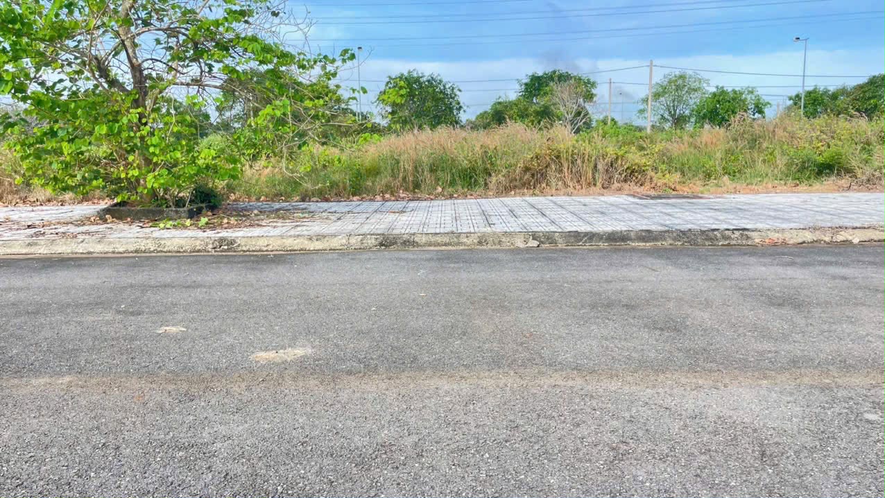 Cần bán Đất đường Quốc Lộ 55, Xã Phước Long Thọ, Diện tích 120m², Giá 700 Triệu 3