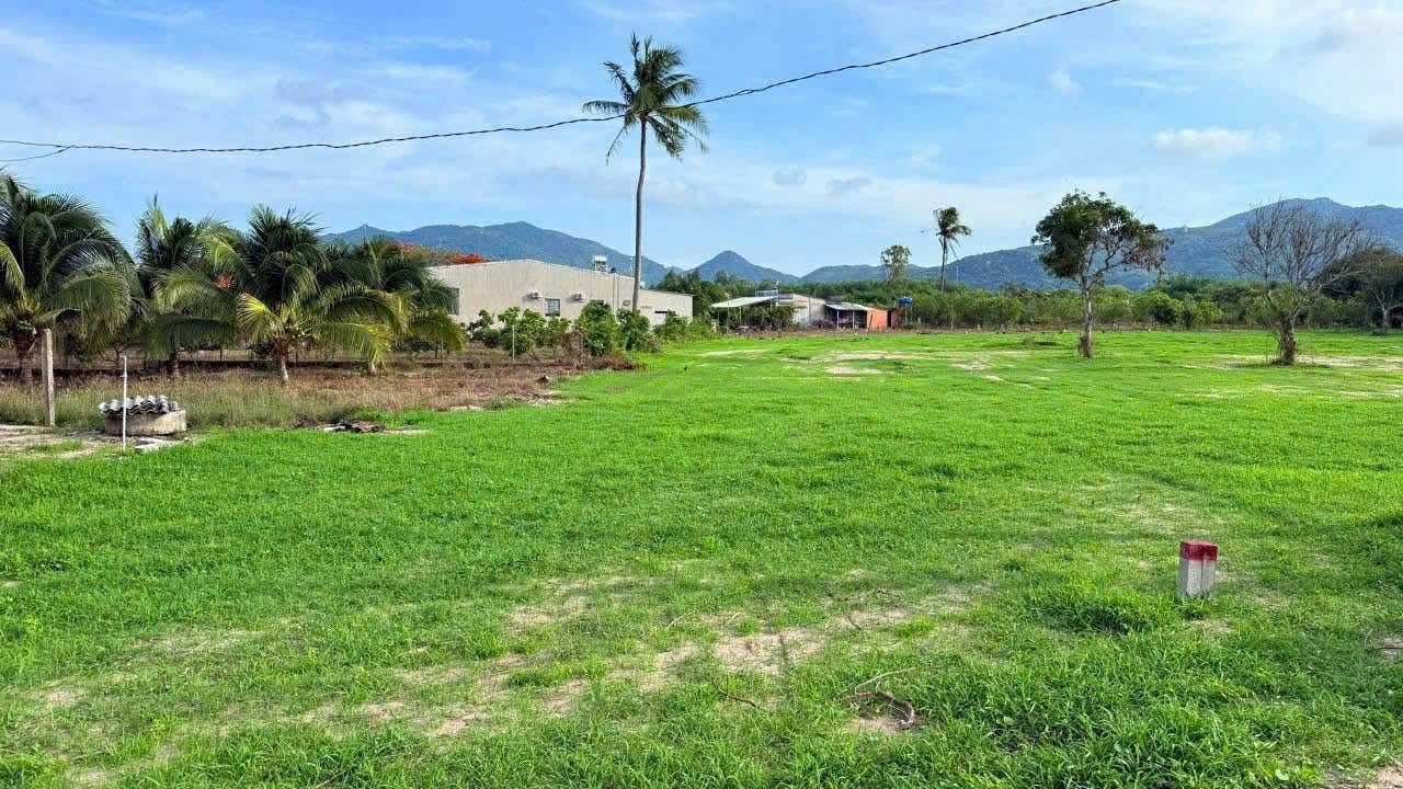 Cần bán Đất đường Võ Văn Kiệt, Thị trấn Đất Đỏ, Diện tích 160m², Giá 1 Tỷ 5