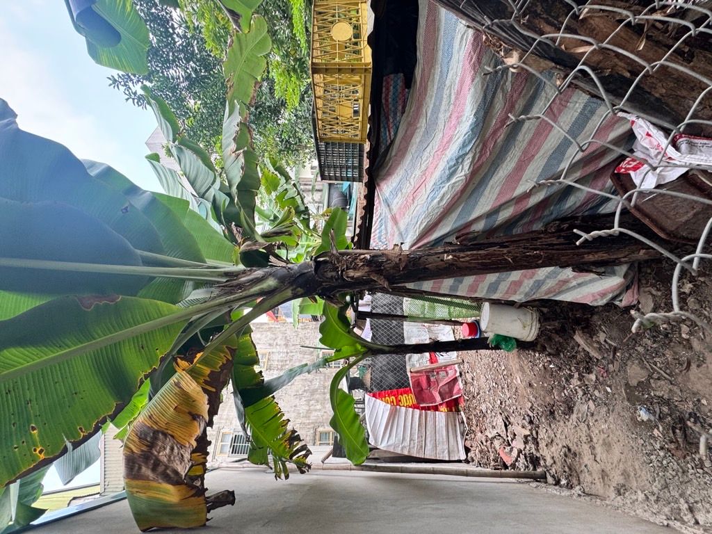 Cần bán Đất đường Khuyến Lương, Phường Trần Phú, Diện tích 54m², Giá 8.7 Tỷ 2