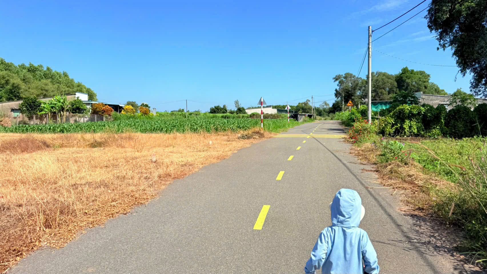 Cần bán Đất đường Tỉnh lộ 44, Thị trấn Đất Đỏ, Diện tích 170m², Giá 980 Triệu 5