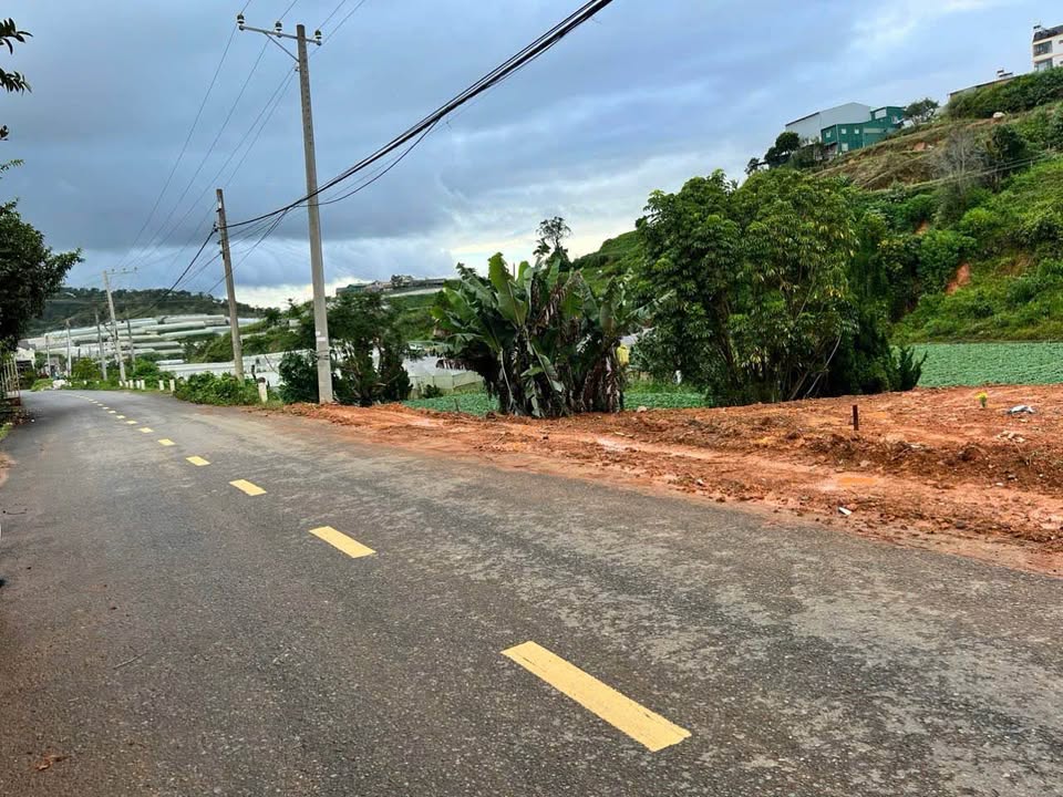 Bán Gấp Đất Biệt Thự Mặt Tiền Đa Phú – P7, Đà Lạt  Chỉ 8.5 Tỷ 3