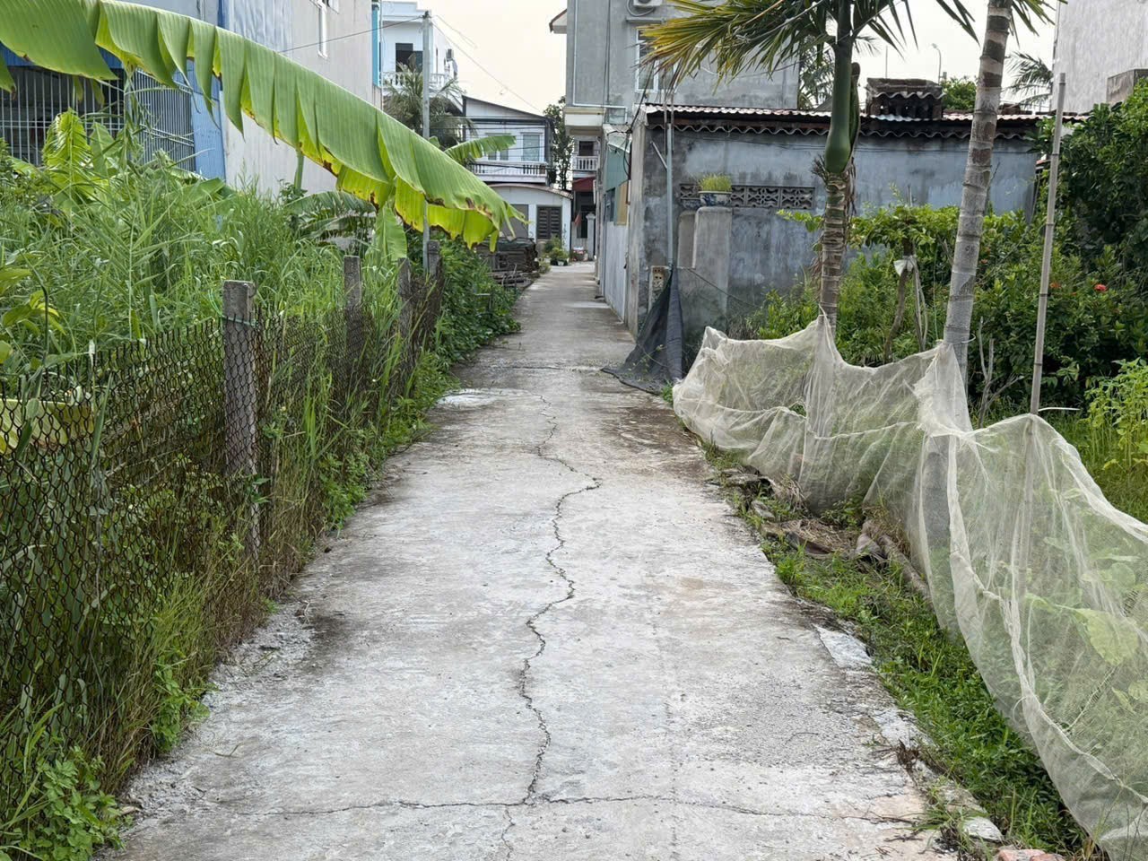 Giá hiếm 6xx triệu – Lô 62.3m² tuyến 2 Bình Minh, Nam Đồ Sơn, đầu tư sinh lời nhanh – ZALO 0567 4