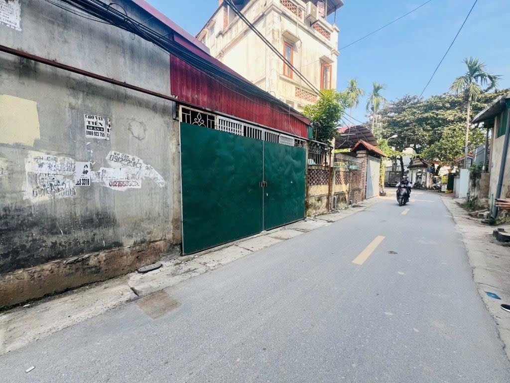 Cần bán Đất đường Thúy Lĩnh, Phường Lĩnh Nam, Diện tích 100m², Giá 21.5 Tỷ 2