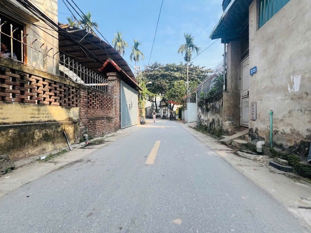 Cần bán Đất đường Thúy Lĩnh, Phường Lĩnh Nam, Diện tích 100m², Giá 21.5 Tỷ 3