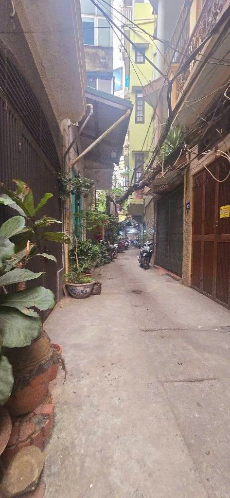 Cần bán Nhà mặt tiền đường Nguyễn Đình Chiểu, Phường Lê Đại Hành, Diện tích 70m², Giá 19.8 Tỷ 3