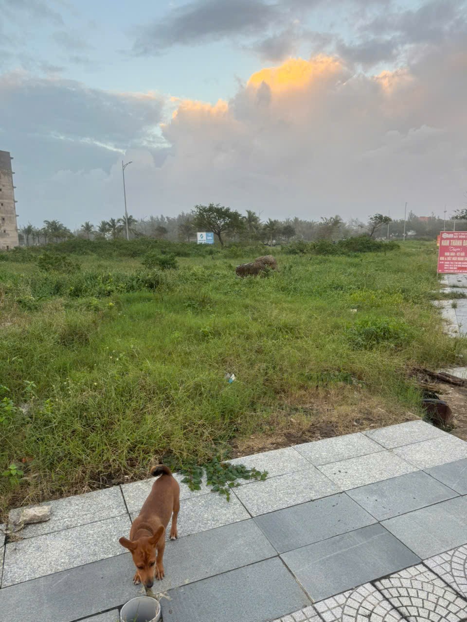 Cần bán Đất đường Minh Mạng, Phường Hòa Quý, Diện tích 669m², Giá 56,8 Tỷ 5