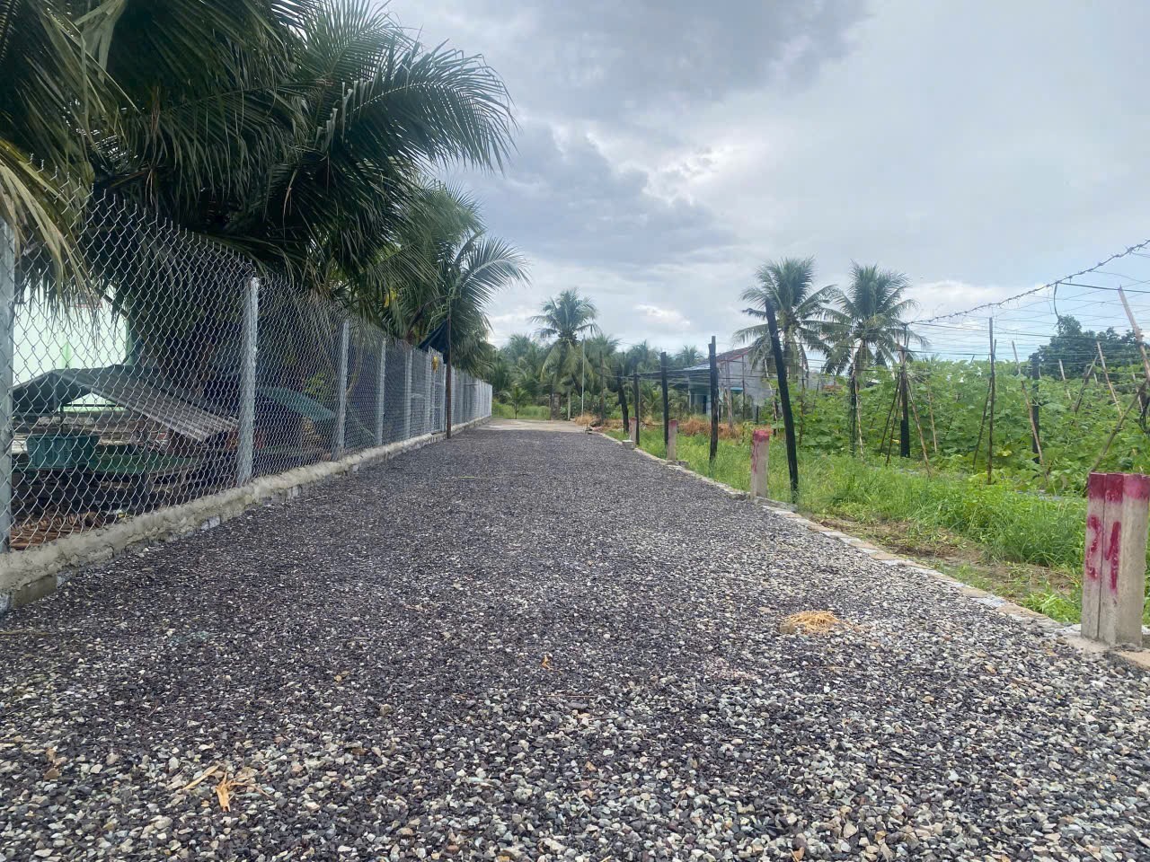 Bán đất Diên Sơn full thổ cư giá rẻ xây nhà an cư - đất cao ráo không ngập lụt 4