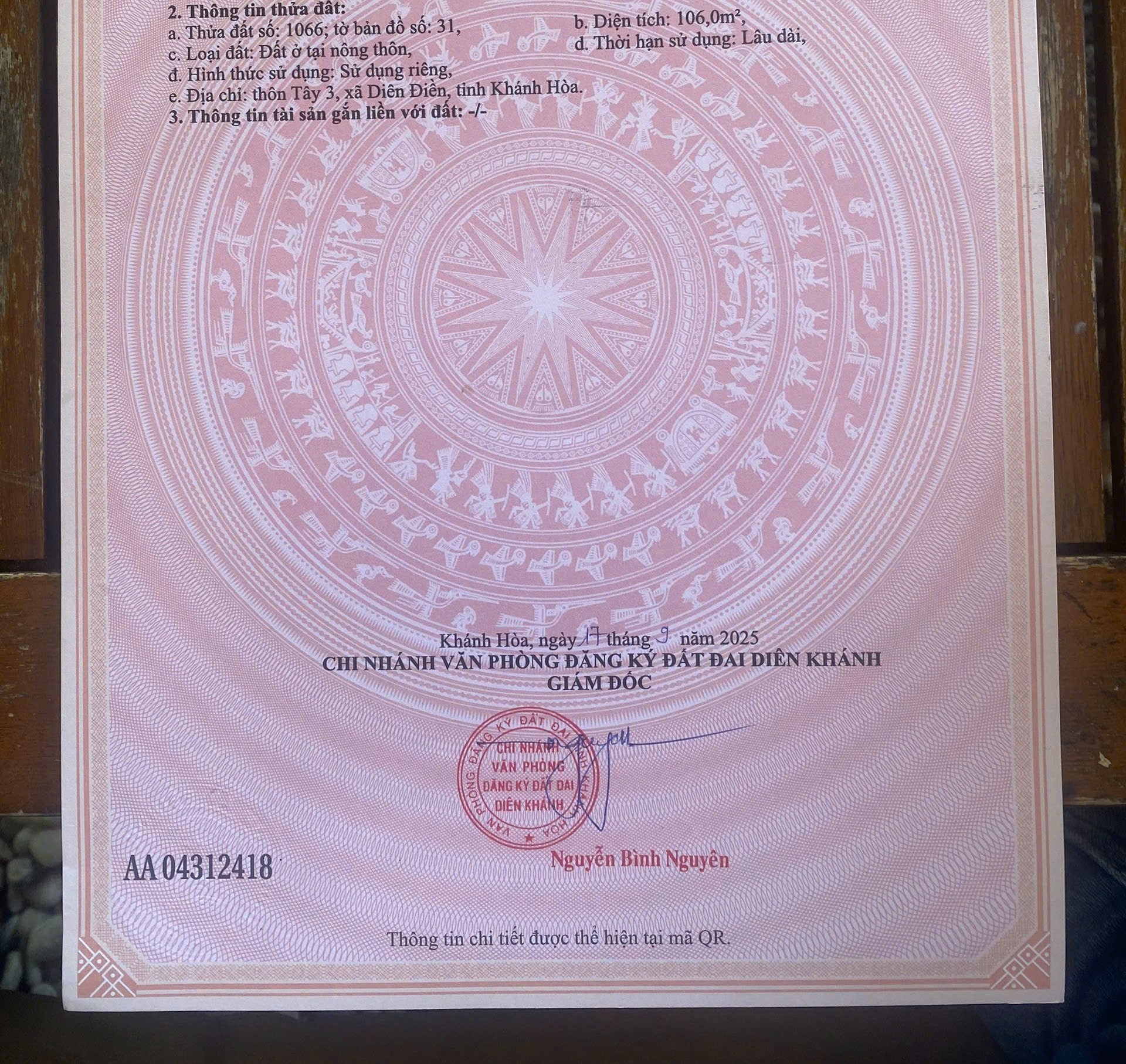 Bán đất Diên Sơn full thổ cư giá rẻ xây nhà an cư - đất cao ráo không ngập lụt 5