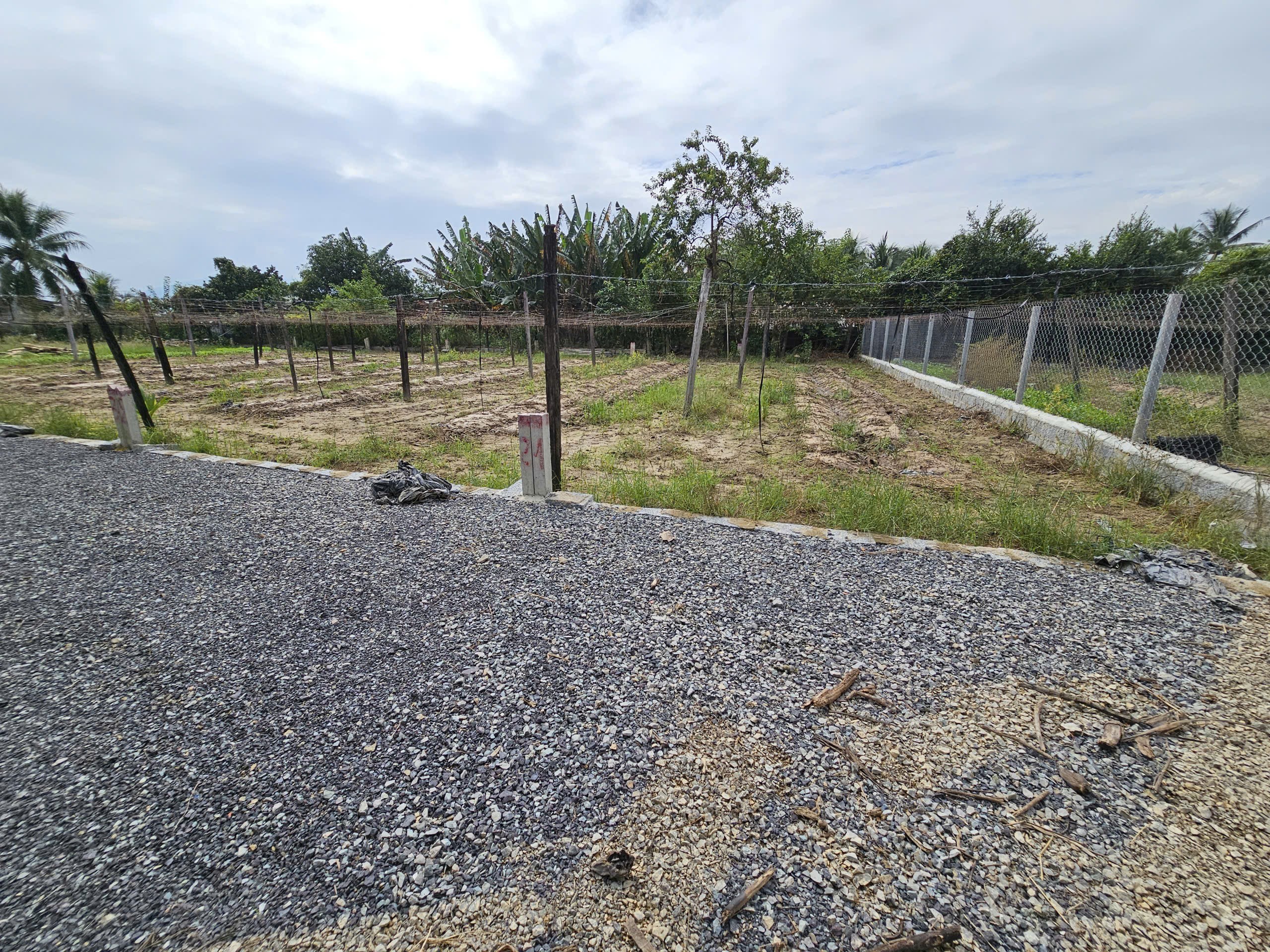 Bán đất Diên Sơn full thổ cư giá rẻ xây nhà an cư - đất cao ráo không ngập lụt 3