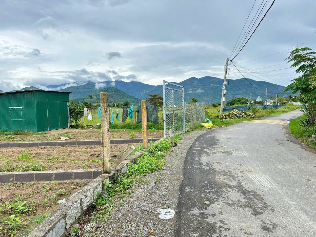 Bán đất Diên Sơn mặt tiền đường Ấp Tân Sinh - đường nhựa thông khu đông dân cư 2