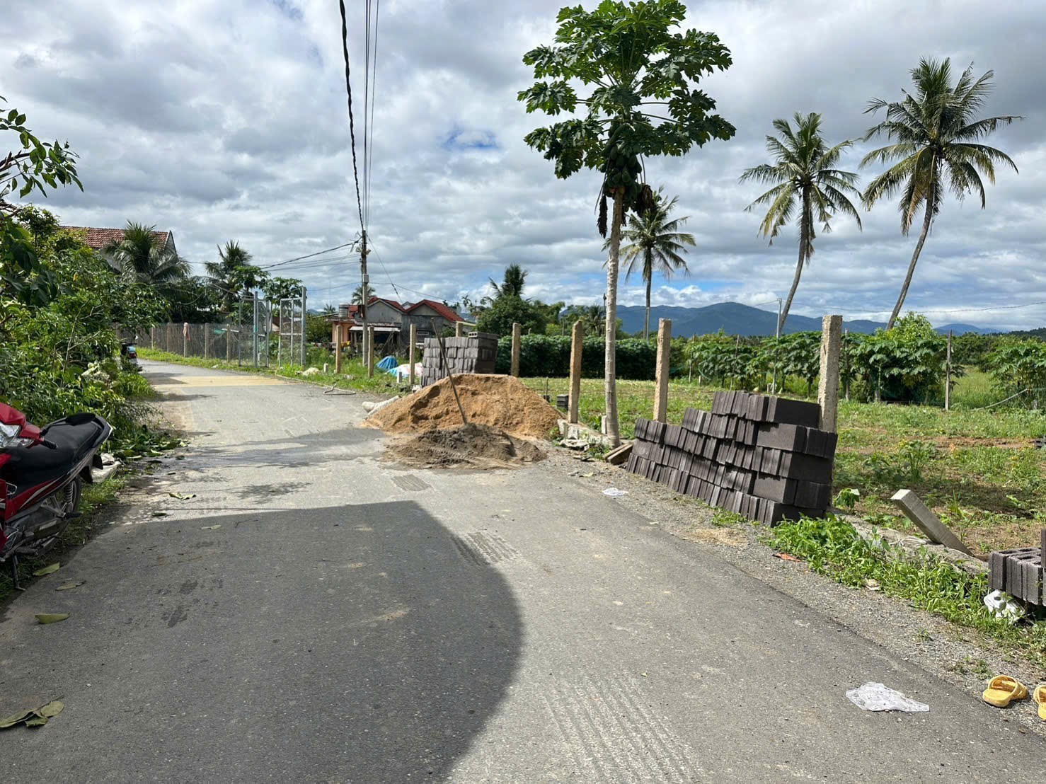 Bán đất Diên Sơn mặt tiền đường Ấp Tân Sinh - đường nhựa thông khu đông dân cư 5