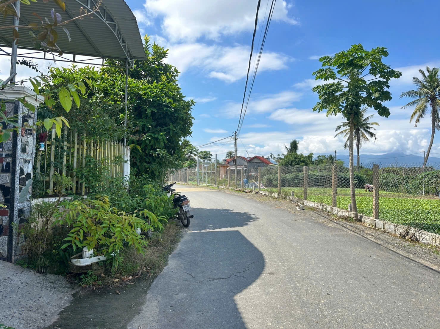 Bán đất Diên Sơn mặt tiền đường Ấp Tân Sinh - đường nhựa thông khu đông dân cư 4