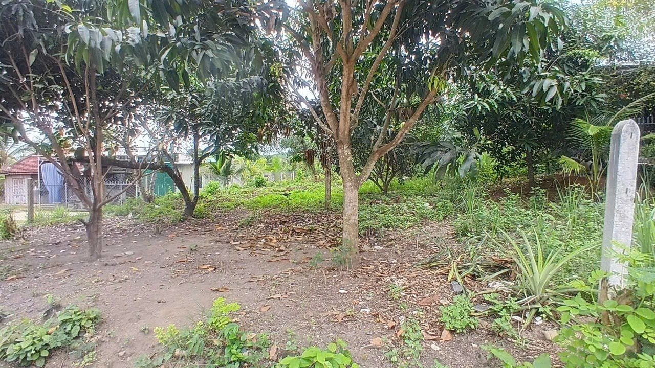 Bán đất Diên Xuân giá rẻ khu bàn cờ đường thông gần Uỷ ban xã 5