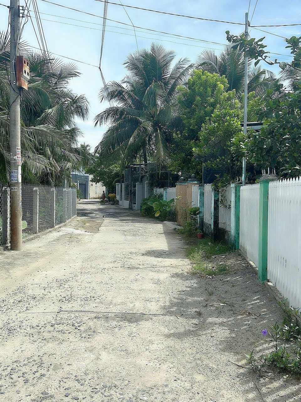 Bán đất Diên Toàn thôn Đông Dinh gần chợ - cách trục đường Huỳnh Thúc Kháng chỉ 200m 4