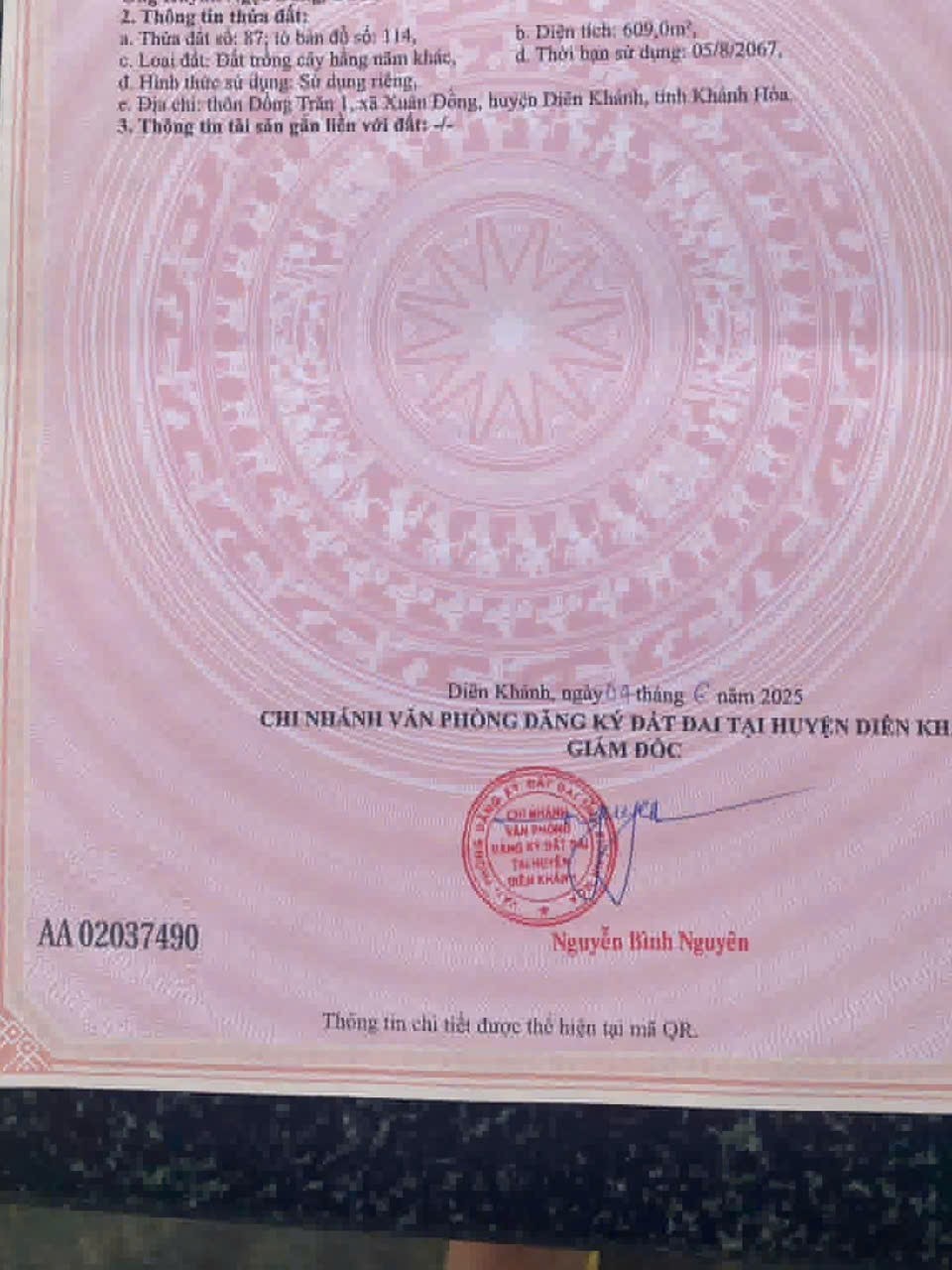 Bán đất Diên Đồng thôn Đồng Trăn 1 mặt tiền đường liên thôn QH 24m 6