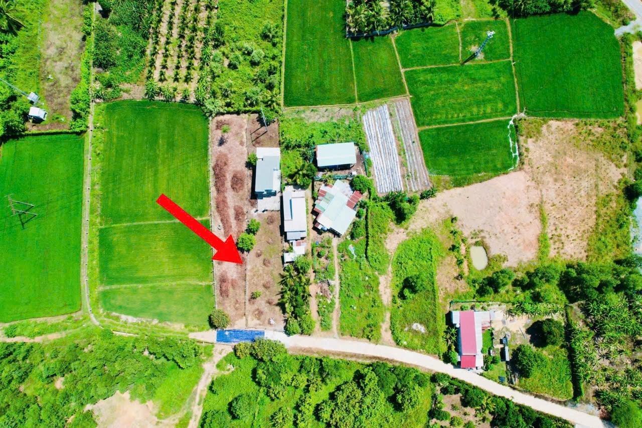 Bán đất Diên Thọ giá rẻ full thổ cư gần Tỉnh Lộ 2 - phù hợp đầu tư xây nhà vườn