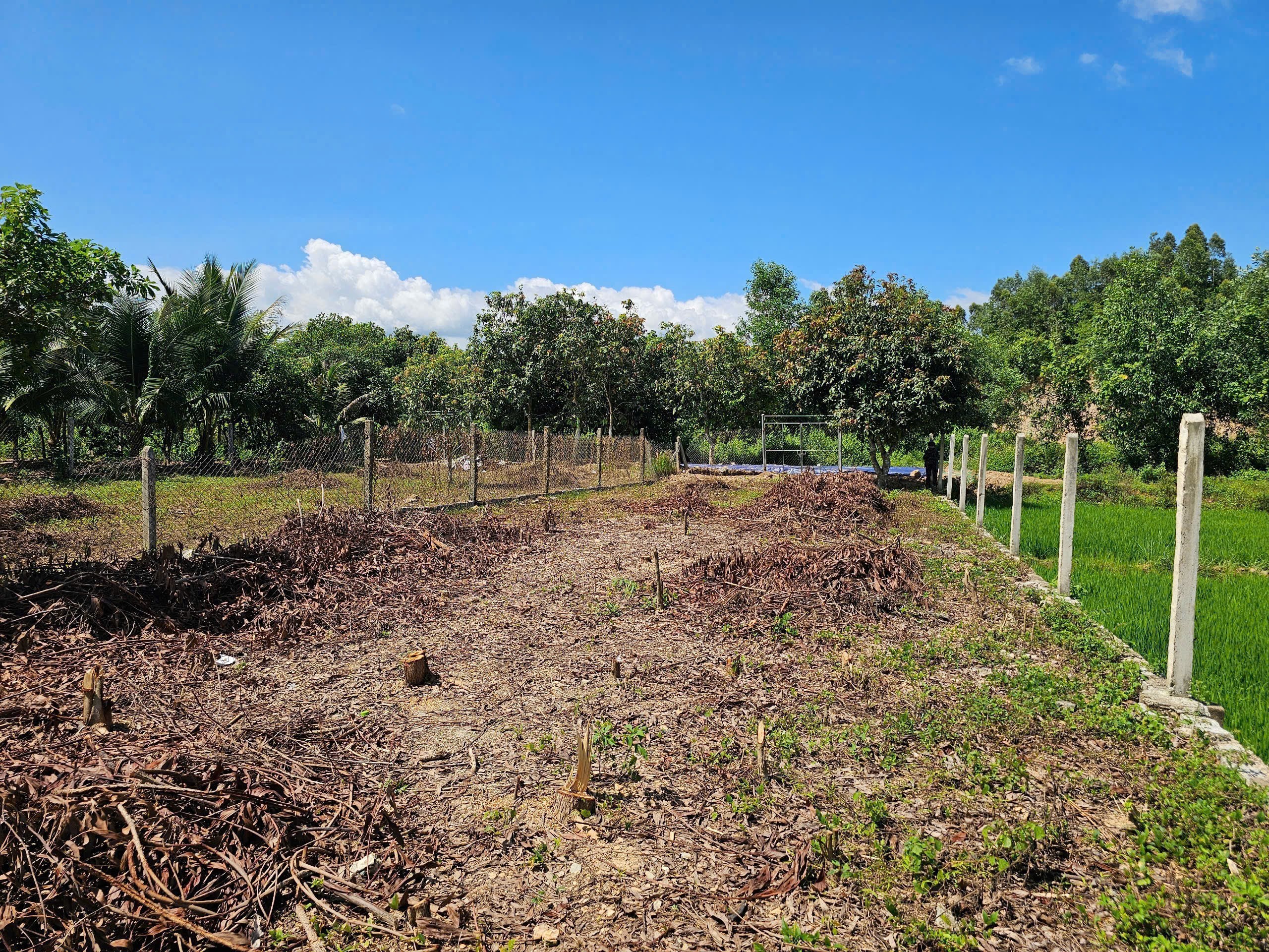 Bán đất Diên Thọ giá rẻ full thổ cư gần Tỉnh Lộ 2 - phù hợp đầu tư xây nhà vườn 10