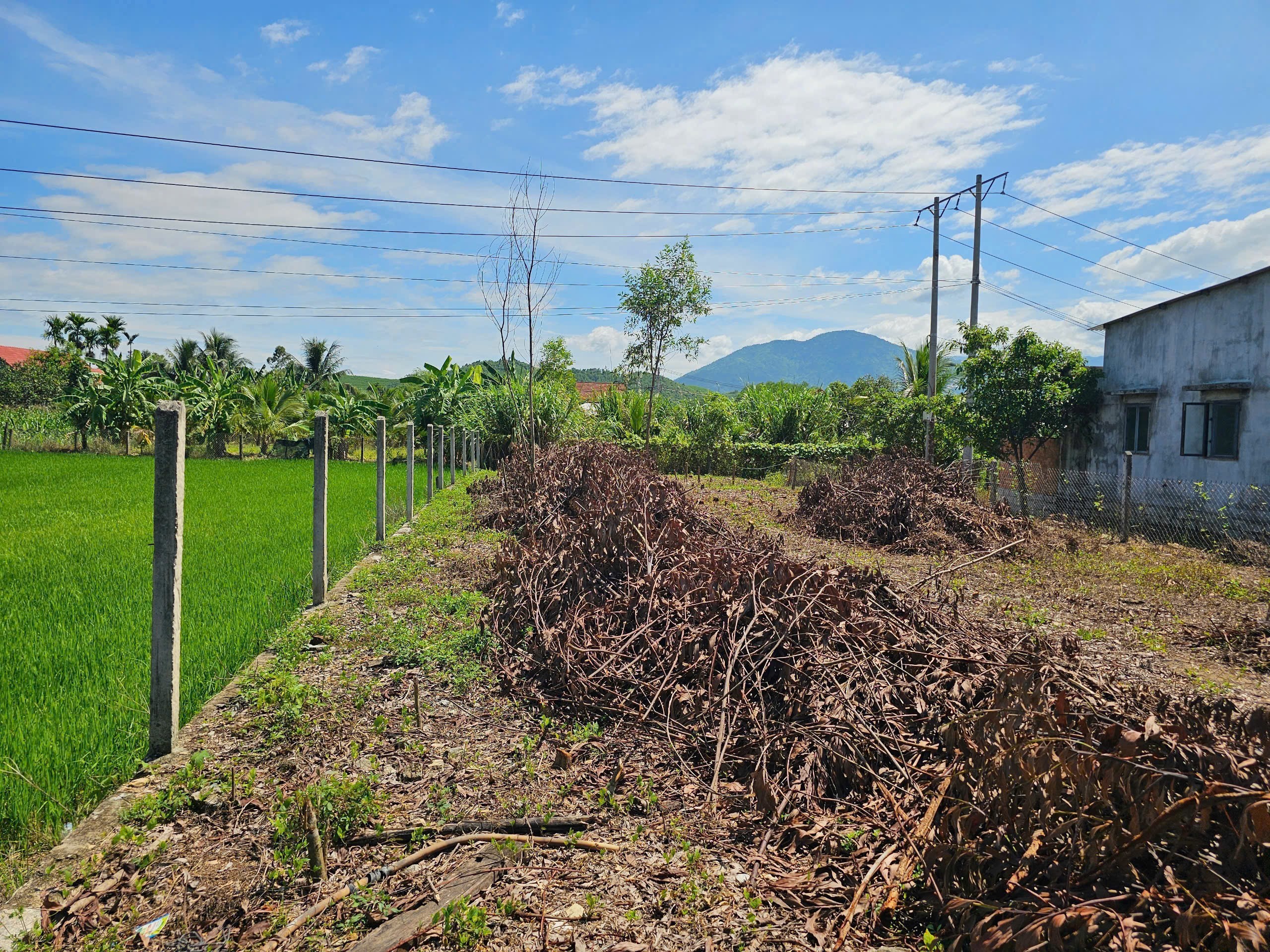 Bán đất Diên Thọ giá rẻ full thổ cư gần Tỉnh Lộ 2 - phù hợp đầu tư xây nhà vườn 5