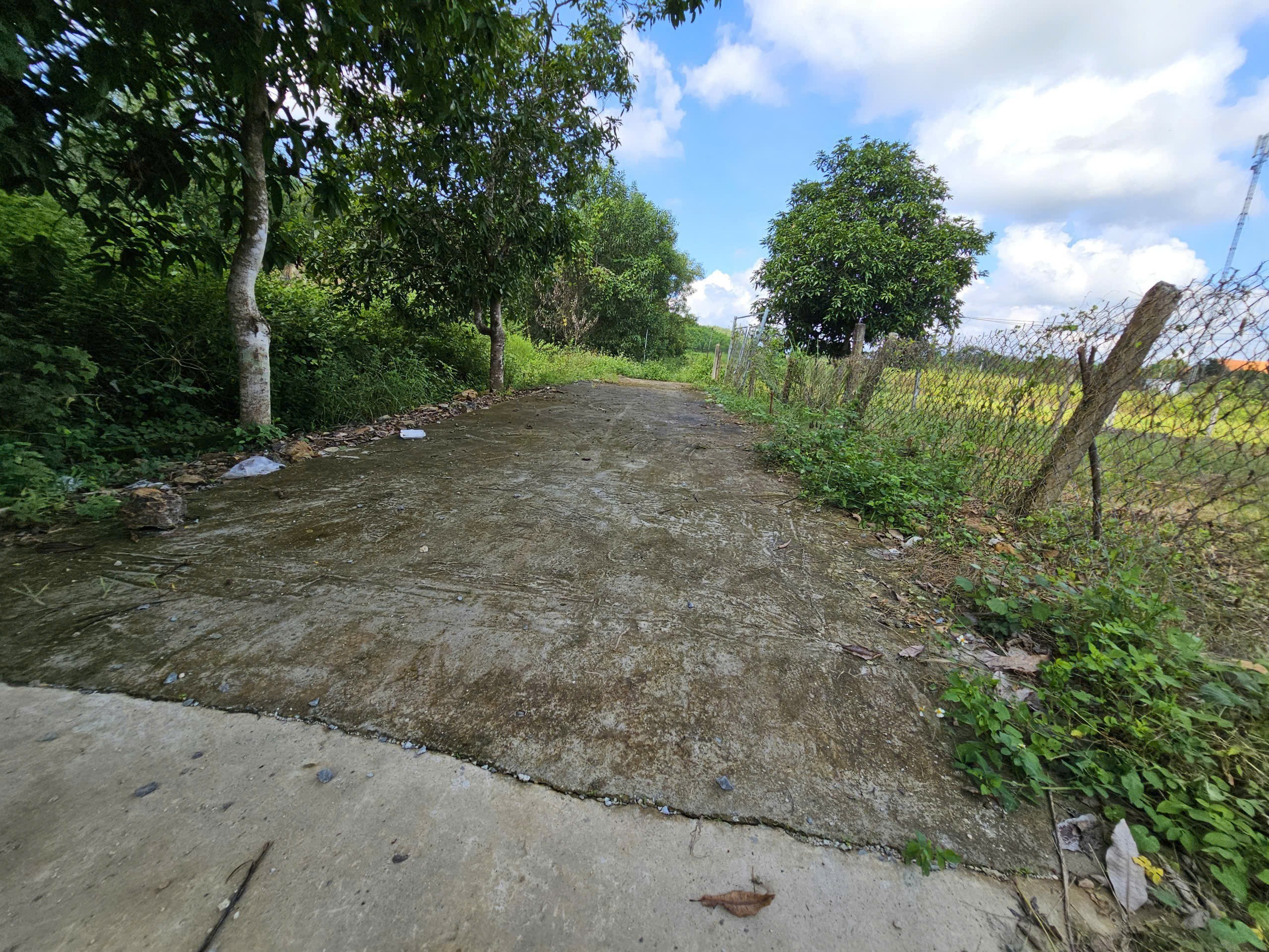 Bán đất Diên Thọ giá rẻ full thổ cư gần Tỉnh Lộ 2 - phù hợp đầu tư xây nhà vườn 6