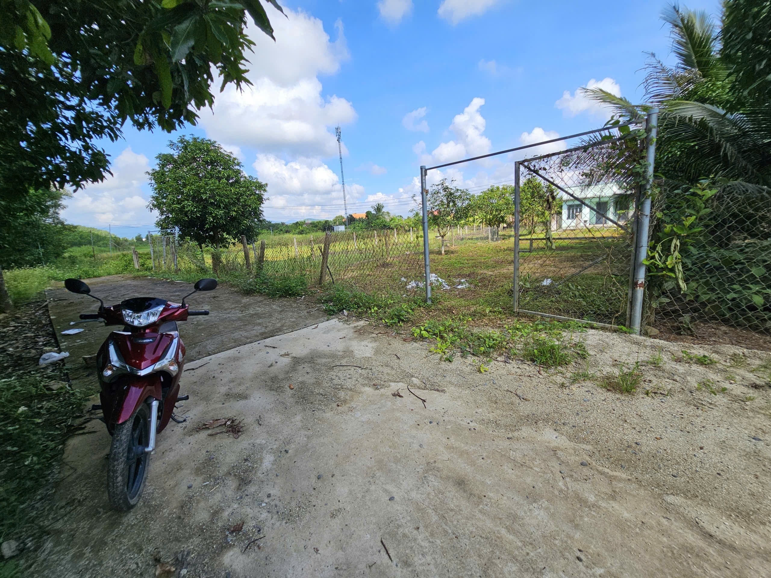 Bán đất Diên Thọ giá rẻ full thổ cư gần Tỉnh Lộ 2 - phù hợp đầu tư xây nhà vườn 7