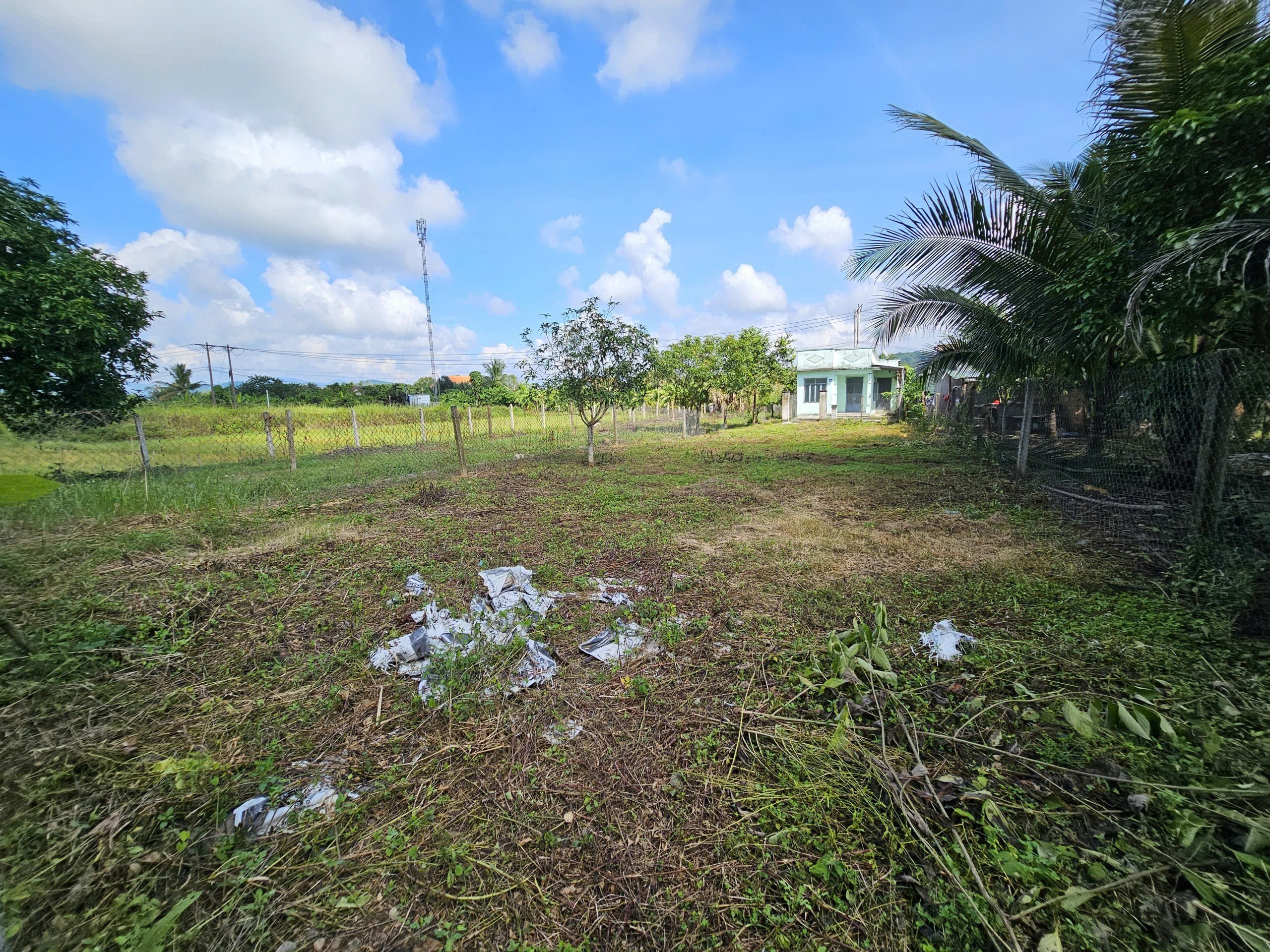 Bán đất Diên Thọ giá rẻ full thổ cư gần Tỉnh Lộ 2 - phù hợp đầu tư xây nhà vườn 9